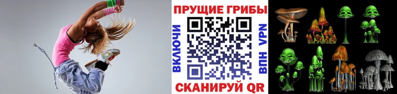 mega как войти  Козельск  Псилоцибиновые грибы MAGIC MUSHROOMS 